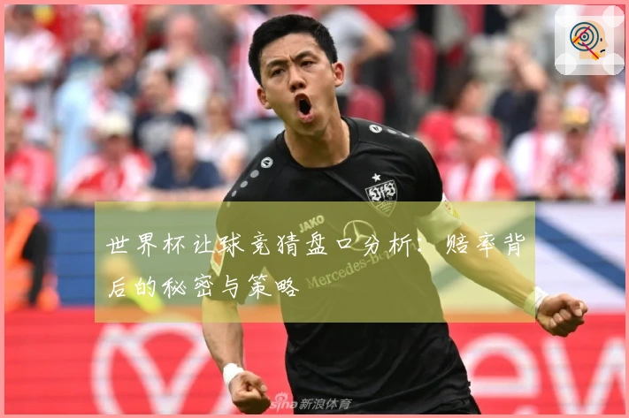 世界杯让球竞猜盘口分析：赔率背后的秘密与策略