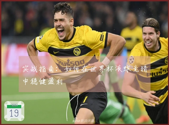 实战指南：如何在世界杯滚球竞猜中稳健盈利