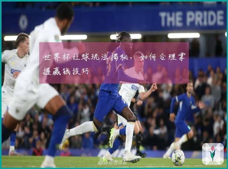 世界杯让球玩法揭秘，如何合理掌握赢钱技巧