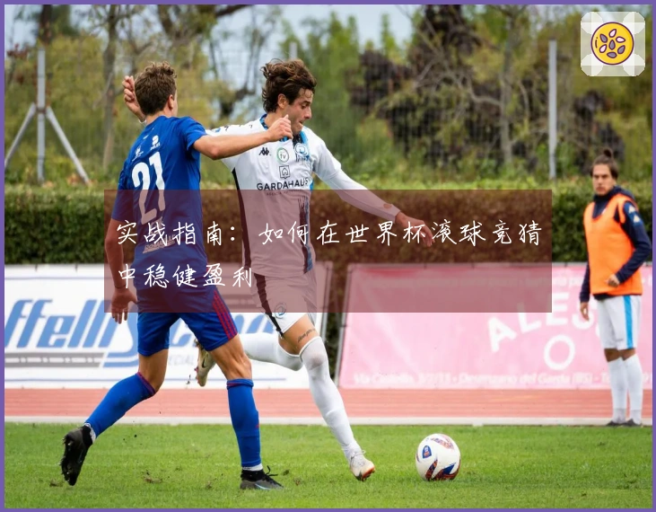 实战指南：如何在世界杯滚球竞猜中稳健盈利