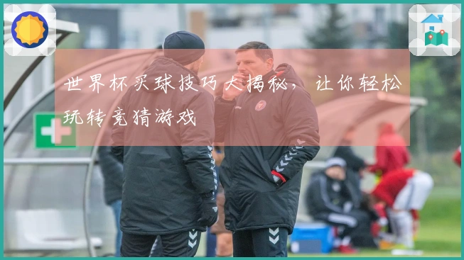 世界杯买球技巧大揭秘，让你轻松玩转竞猜游戏